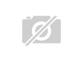 Reptil-Food. de